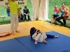 Finalni turnir 2015  (21)