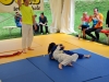 Finalni turnir 2015  (22)