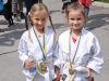 Finalni turnir 2015  (31)