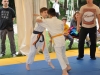 Finalni turnir 2015  (42)