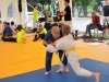 Finalni turnir 2015  (60)