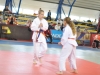 pokal Bežigrada 2015 (6) - Kopija.JPG