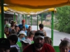 četrti dan (172)