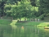 drugi dan (179)