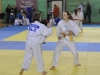 Samobor 2015 (18).JPG