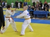 Samobor 2015 (36).JPG