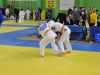 Samobor 2015 (37).JPG