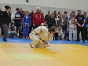 Turopoljska frka 2015 (38).JPG