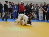 Turopoljska frka 2015 (39).JPG