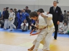 Turopoljska frka 2015 (4).JPG