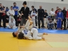 Turopoljska frka 2015 (43).JPG