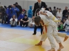 Turopoljska frka 2015 (6).JPG